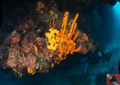Blue Cave, Alonissos, Alonnisos, Alonissos Triton, Dive, Scuba diving